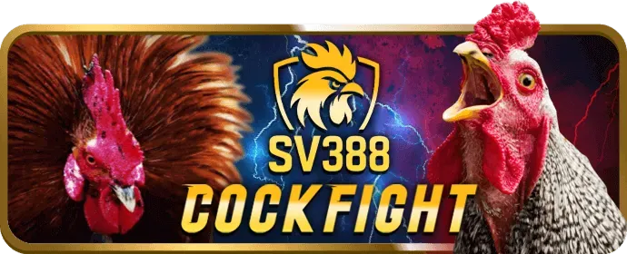 Ưu đãi chào mừng dành cho thành viên mới DU88 Casino